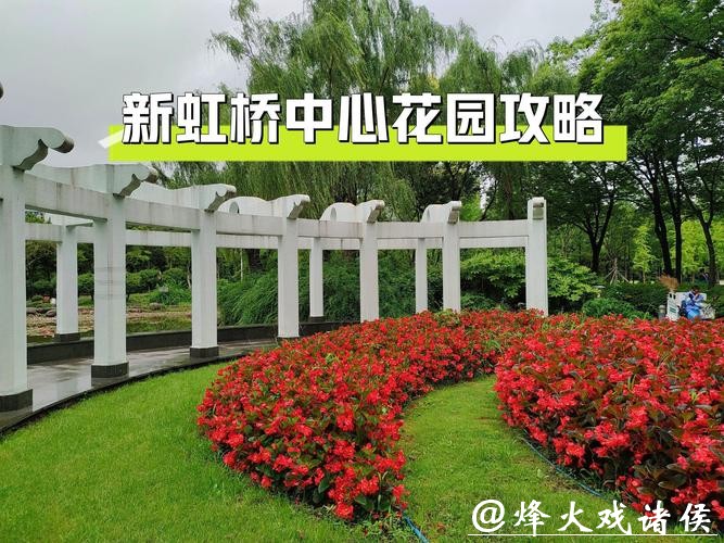 虹桥花市焕新升级，新增6300平方米公园绿地，并引入新业态